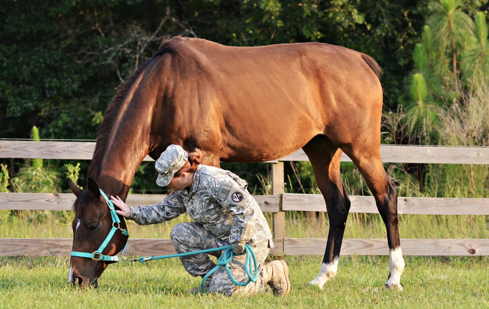 EAGALA Model EquineAssisted Psychotherapy for the Military EQuine