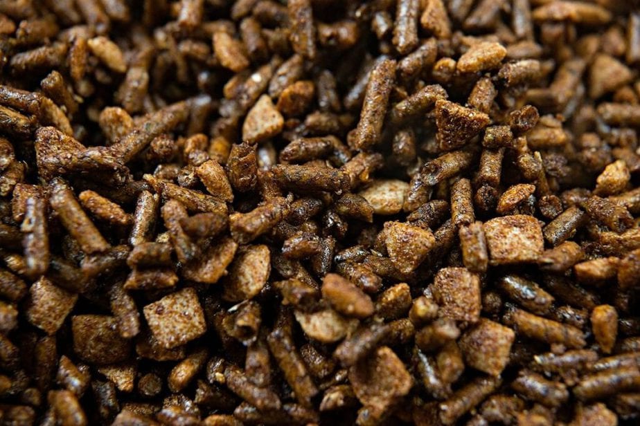 Pelleted vs. Textured Horse Feed – The Horse