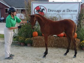 Christine Smith with her foal at Dressage at Devon.