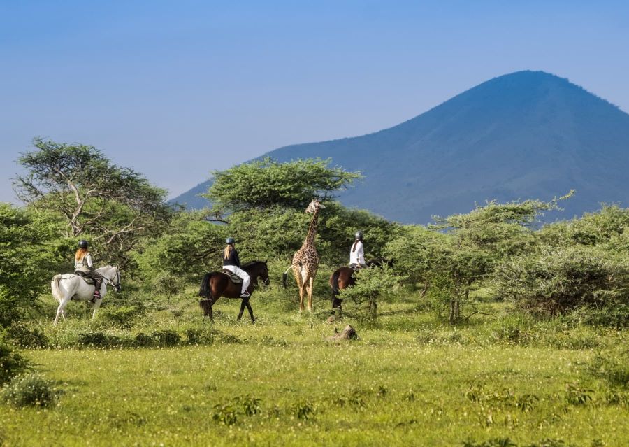 Horseback riders exploring Africa with a giraffe among them.