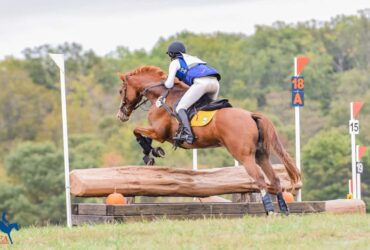 A cross country rider jumping over a log jump in the Modified level, orange on blue, eventing competition.