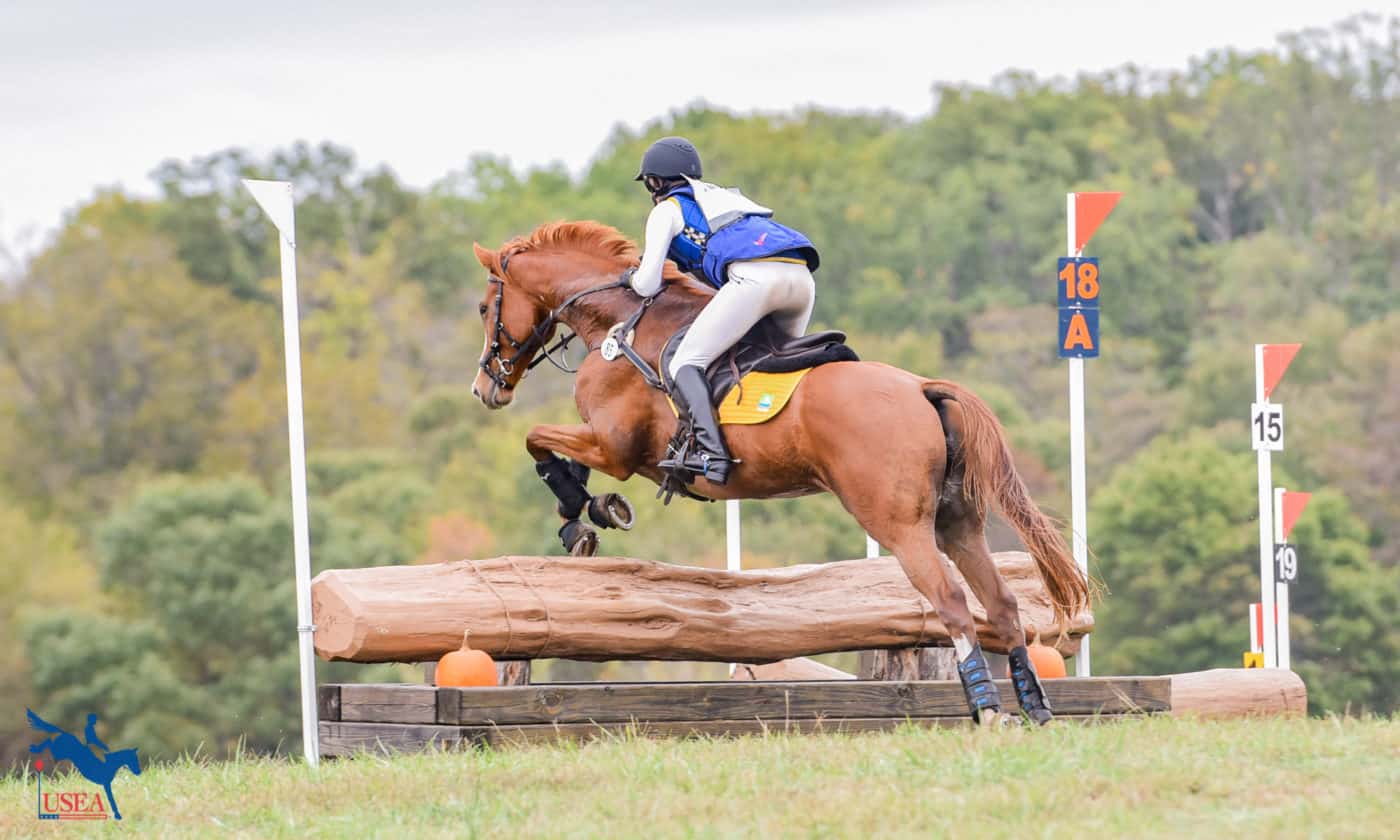 A cross country rider jumping over a log jump in the Modified level, orange on blue, eventing competition.