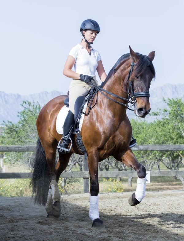 A woman riding a dressage performance horse in training.