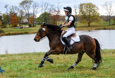 Interscholastic Eventing League competitor galloping on cross-country.