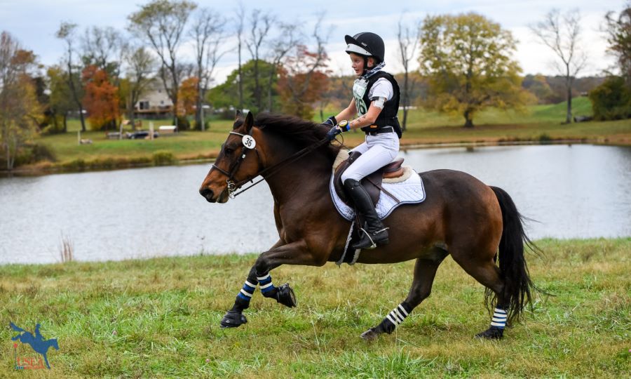 Interscholastic Eventing League competitor galloping on cross-country.