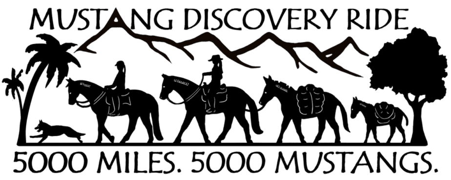Mustang Discovery Ride logo in black and white.