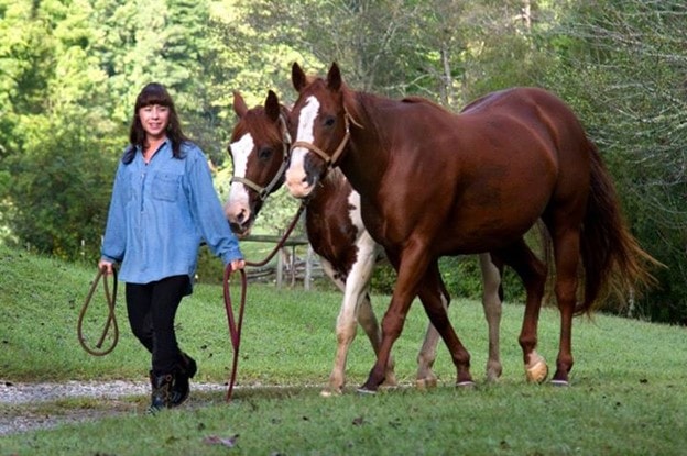Cathy Woods walking her two chestnut horses.