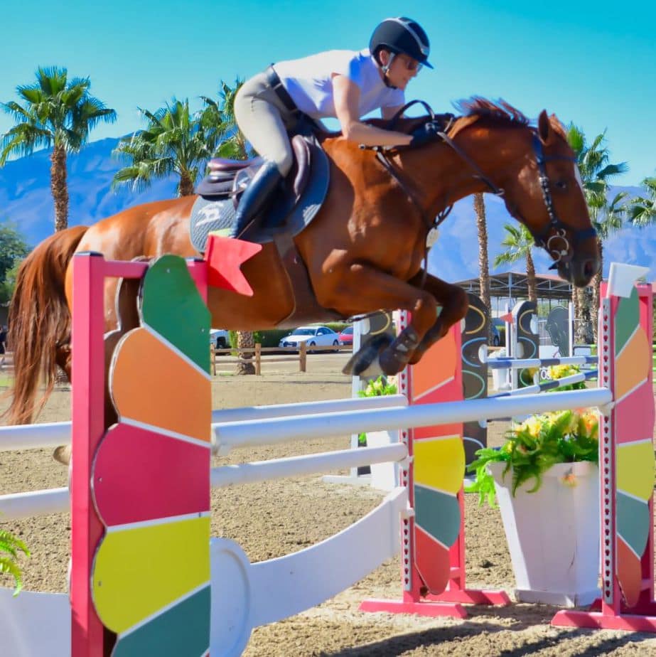 A young, chestnut horse jumping over a colorful fence.